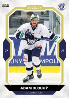 23-24 GOAL Cards - Adam DLOUHÝ č. 352 GOLD 1of20
