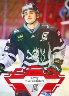 23-24 TELH - David TUREČEK č. 324 GOAL LIGHT 1of60