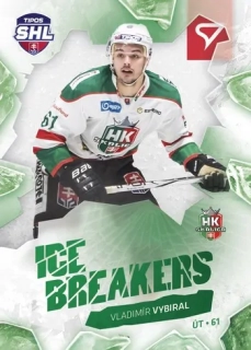 23-24 Tipos Extraliga - Vladimír VYBIRAL č. IB-23