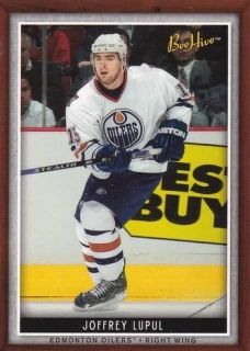 06-07 Bee Hive - Joffrey LUPUL č. 63