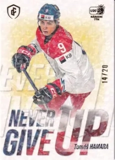 Expectations Road to Prague - Tomáš HAMARA č. NGU-06 JUNGLE x/20
