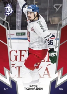 2024 Hokejové Česko - David TOMÁŠEK č. 60