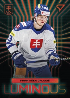 2024 Hokejové Slovensko - František GAJDOŠ č. LS-05 RED