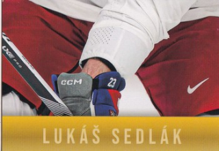 Golden Prague 2024 - Lukáš SEDLÁK č. LS08