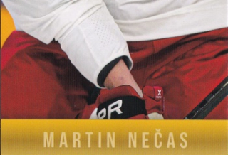Golden Prague 2024 - Martin NEČAS č. MN08