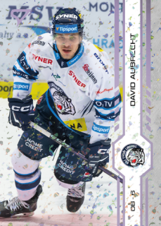 24-25 TELH - David AUBRECHT č. 111 Puck Marks