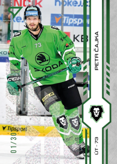 24-25 TELH - Petr ČAJKA č. 227 Green Glitter x/30
