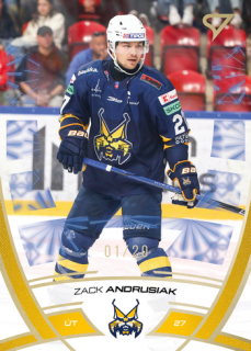 24-25 TIPOS - Zack ANDRUSIAK č. 027 Golden Glow x/20