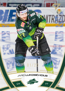 24-25 TIPOS - Jarid LUKOSEVICIUS č. 212 Golden Glow x/20