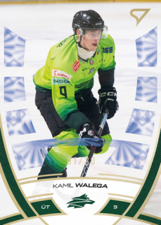 24-25 TIPOS - Kamil WALEGA č. 216 Golden Glow x/20