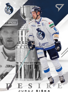 24-25 TIPOS - Juraj ŠIŠKA č. DE-07 Desire