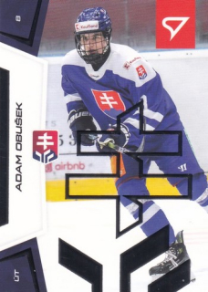 24-25 TIPOS SHL - Adam OBUŠEK č. 142 Silver