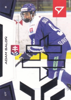 24-25 TIPOS SHL - Adam SALOŇ č. 144 Silver