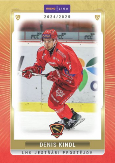 24-25 GOAL Cards - Denis KINDL č. PRO-15