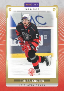 24-25 GOAL Cards - Tomáš KNOTEK č. SLA-16 Canvas 1of40