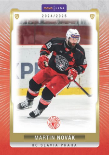 24-25 GOAL Cards - Martin NOVÁK č. SLA-15 Canvas x/15