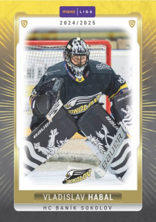 24-25 GOAL Cards - Vladislav HABAL č. SOK-01 Canvas x/15