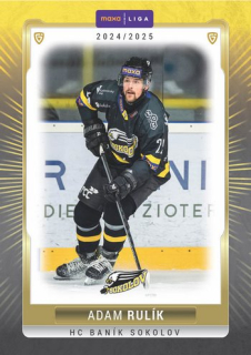 24-25 GOAL Cards - Adam RULÍK č. SOK-08 Canvas x/15