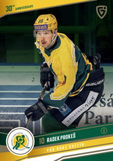 24-25 GOAL Cards - Radek PROKEŠ č. VS-03 Canvas x/15