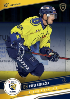 24-25 GOAL Cards - Pavel SEDLÁČEK č. ZL-15
