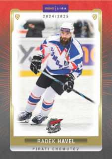 24-25 GOAL Cards - Radek HAVEL č. CHOM-10 Canvas 1of40