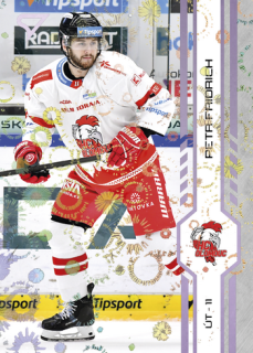 24-25 TELH - Petr FRIDRICH č. 330 Puck Marks