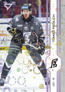 24-25 TELH - Tomáš REDLICH č. 338 Puck Marks