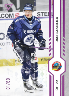 24-25 TELH - Jan BAMBULA č. 319 Purple Iceberg x/60