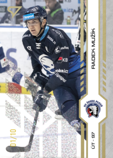 24-25 TELH - Radek MUŽÍK č. 345 Golden Glow x/10