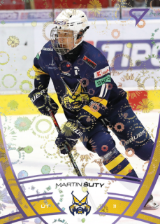 24-25 TIPOS - Martin ŠUTY č. 231 Puck Marks