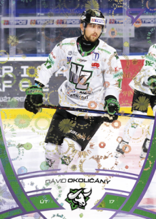 24-25 TIPOS - Dávid OKOLIČÁNY č. 310 Puck Marks