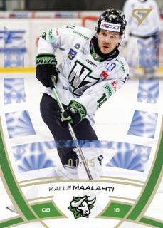 24-25 TIPOS - Kalle MAALAHTI č. 307 Golden Glow x/15