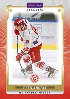 24-25 GOAL Cards - Petr ANDERLE č. FMI-28