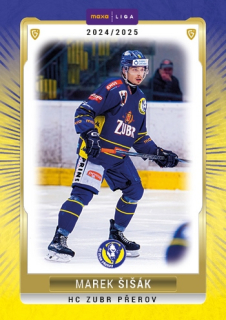 24-25 GOAL Cards - Marek ŠIŠÁK č. PRE-26 Canvas 1of40
