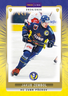 24-25 GOAL Cards - Jakub ZEMBOL č. PRE-34
