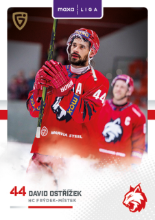 25-26 GOAL CARDS - David OSTŘÍŽEK č. FMI-12 Canvas